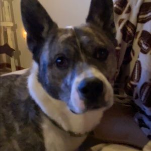 Meet your Posher, Jay